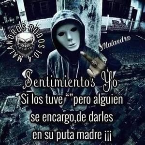 Meet your Posher, Norman